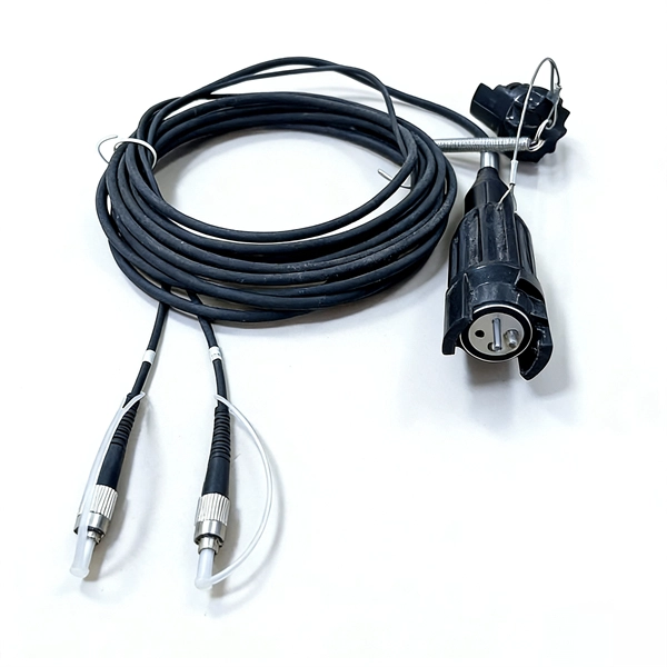 Core Switch WLAN