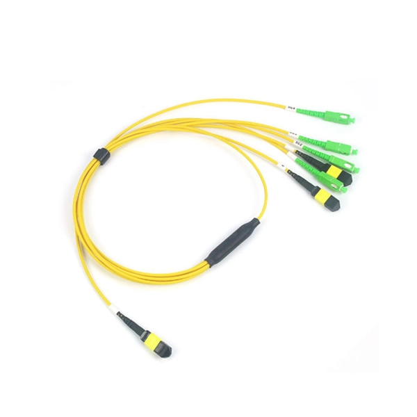 Raman Amplifier Classification