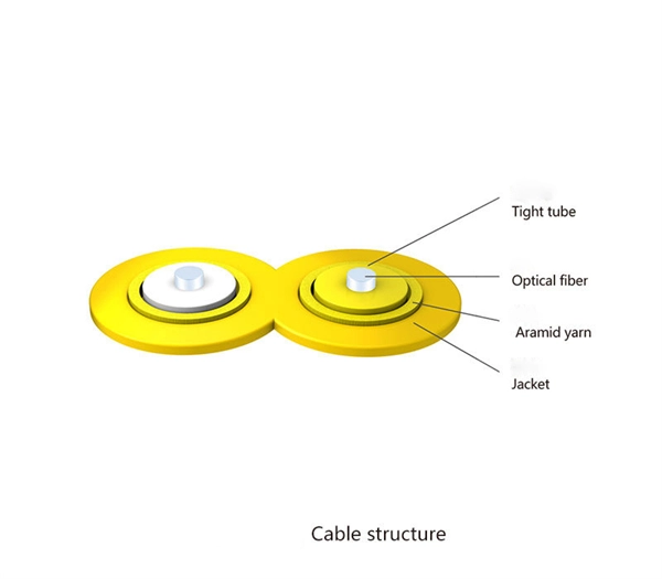 Principle of Optical-to-Grid Module