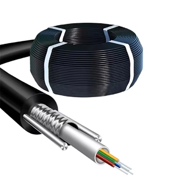 How to convert fiber optic to electrical converters on a switch 
