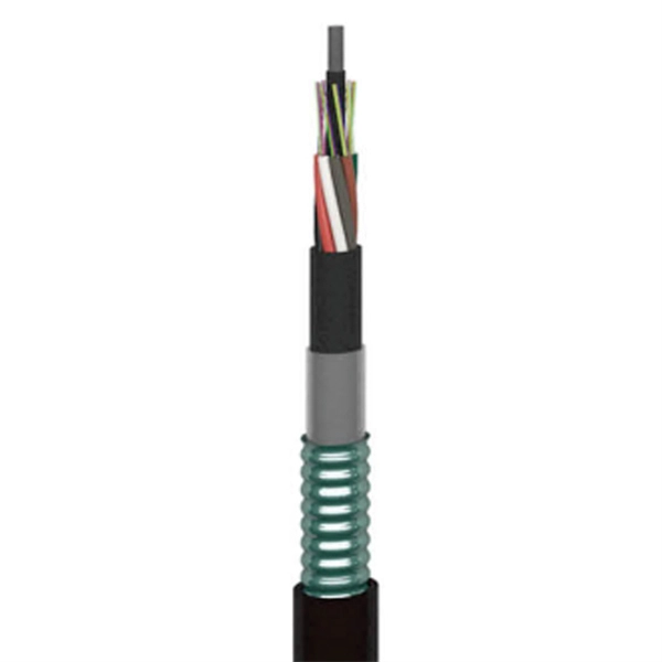 Fiji Joins Passive Optical Networking SFP
