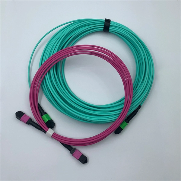 What is the purpose of connecting a fiber optic splitter to a 10 Gigabit Ethernet card 